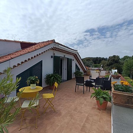 Casa Olivella Leilighet Torre del Greco Eksteriør bilde