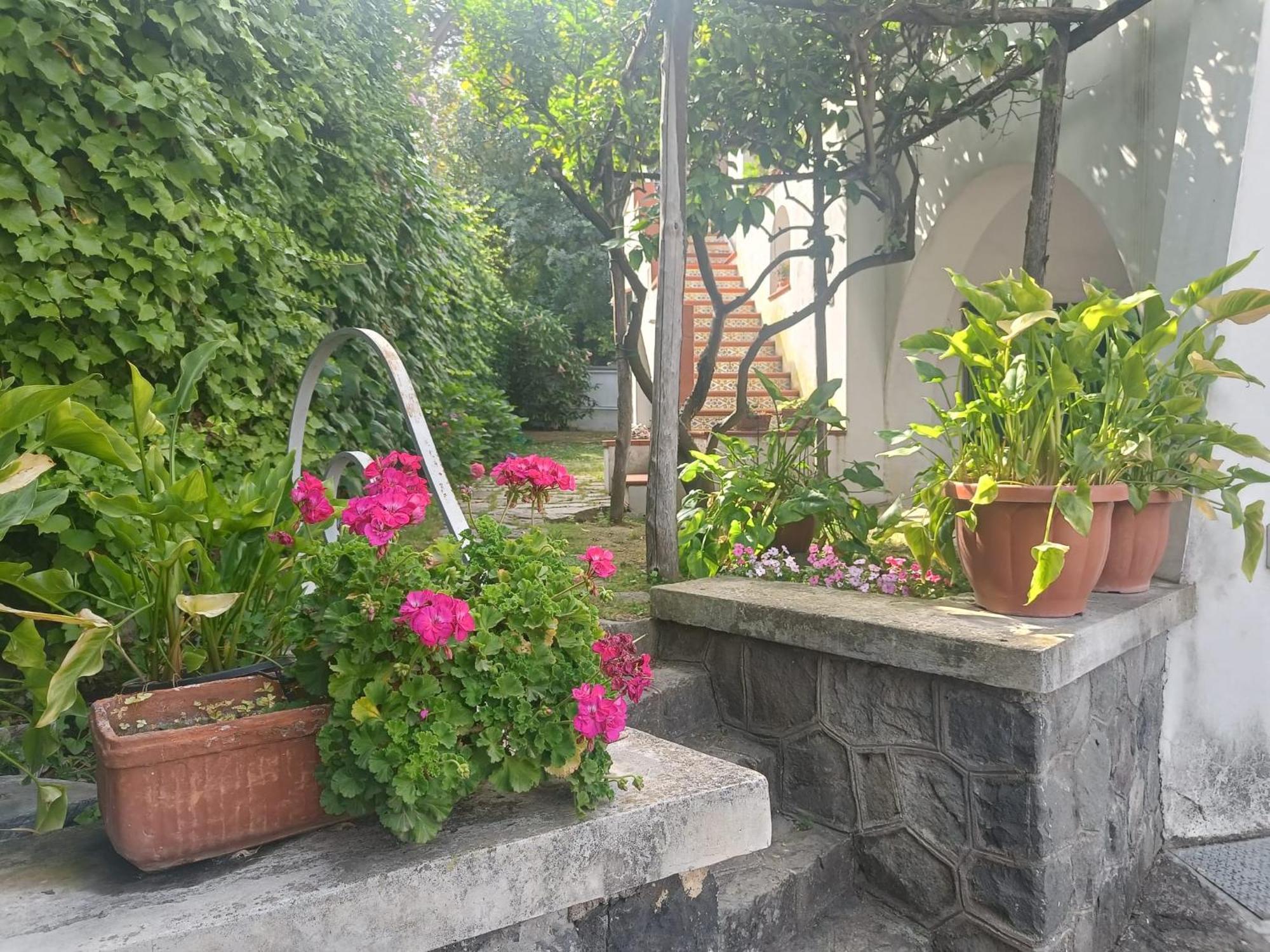 Casa Olivella Leilighet Torre del Greco Eksteriør bilde